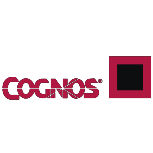 Ibm Cognos